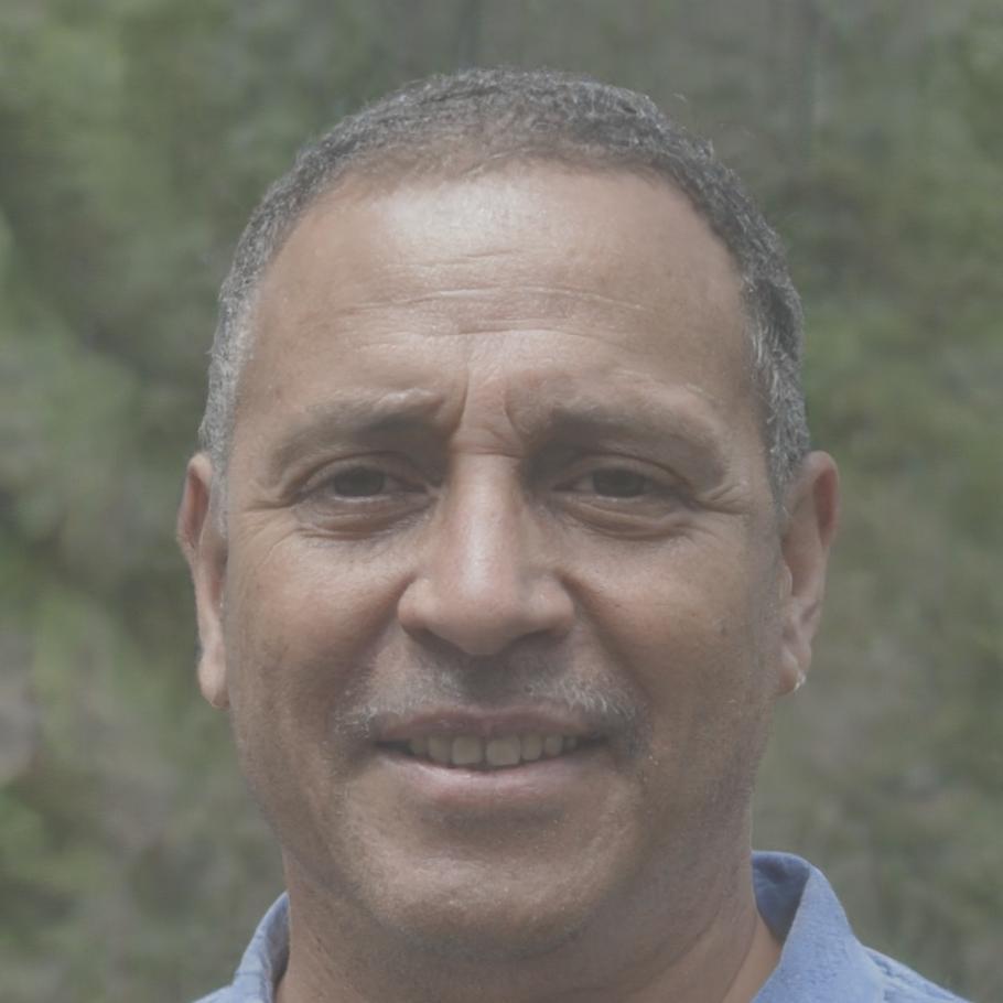 Michael Schmidt, Projektleiter
